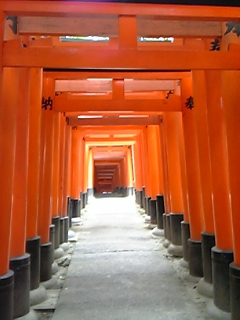 image/transit-2005-09-26T12:01:30-1.jpg